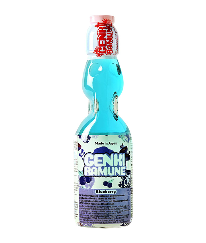 GENKI DRINK BLUEBERRY 200ML X30